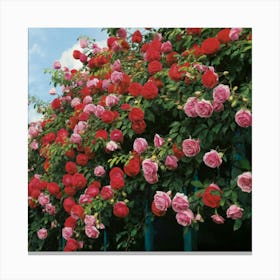 Rose Garden Canvas Print