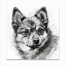  Finnish Spitz Dog Line Sketch 1 Canvas Print