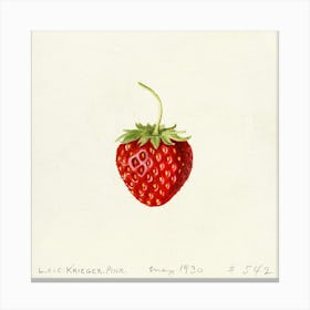 Strawberry 2 Canvas Print