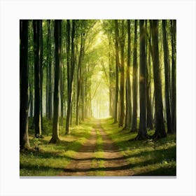 Path Through The Forest 11 Canvas Print