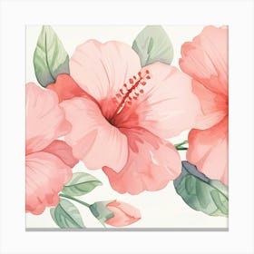 Pink Hibiscus Flowers Canvas Print