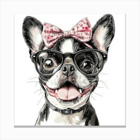 Boston Terrier 4 Canvas Print