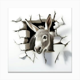 Donkey Peeking Out Of A Hole 1 Canvas Print