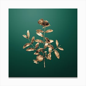 Gold Botanical Pomegranate Branch on Dark Spring Green n.3252 Canvas Print