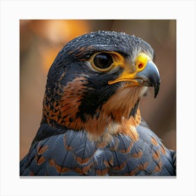 Falcon 4 Canvas Print