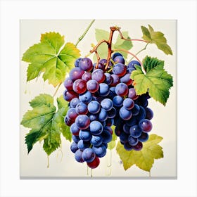Vivid Grape Duet Watercolor Symphony Canvas Print