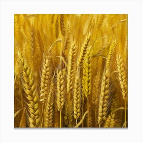 Wheat Field Photo 1 Canvas Print