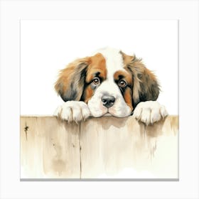 St Bernard Dog 6 Canvas Print