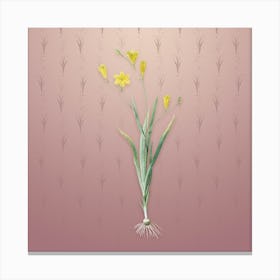 Vintage Ixia Bulbifera Botanical on Dusty Pink Pattern n.2206 Canvas Print
