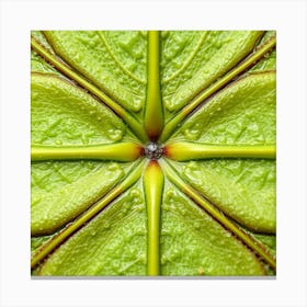 Four Leaf Canvas Print