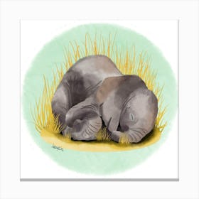 Elephant /Éléphanteau  Canvas Print