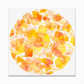 Golden Poppies Canvas Print