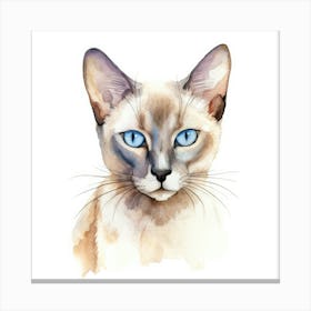 Tonkinese Mink Cat Portrait 1 Canvas Print