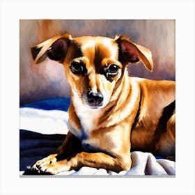 Chihuahua Canvas Print