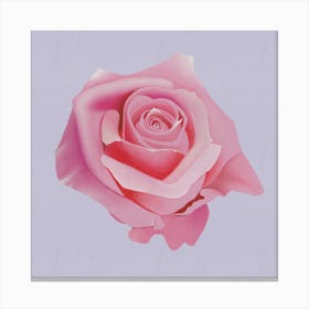 Timeless Bloom - Modern Minimalist Pink Rose On Lavender Canvas Print