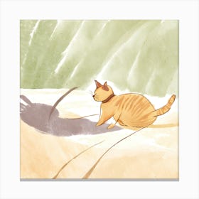 Cat'S Shadow Canvas Print