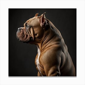 Side view pittbull Canvas Print