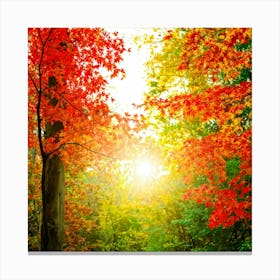 Autumn Frame Embracing Bright Foliage Maple Leaves Transitioning From Green To Vivid Shades Of Oran (5) Canvas Print