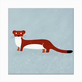 Weasel Canvas Print