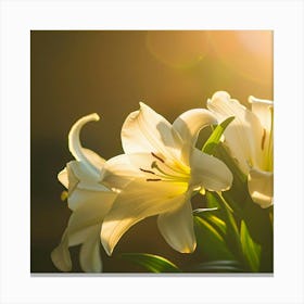 White Lilies Canvas Print