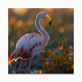 Flamingo 28 Canvas Print
