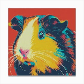 Guinea Pig Canvas Print Canvas Print