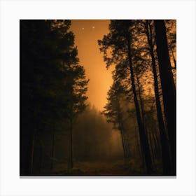 Dark Forest At Night 2 Canvas Print