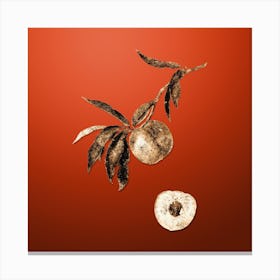 Gold Botanical Peach on Tomato Red n.2154 Canvas Print