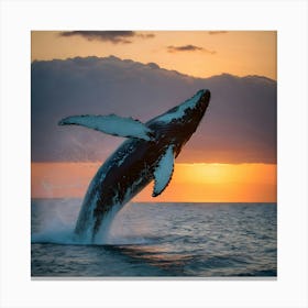 Humpback Whale Breaching At Sunset 20 Canvas Print