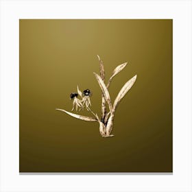 Gold Botanical Clamshell Orchid on Dune Yellow n.1786 Canvas Print