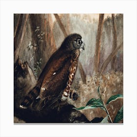 Owl Perched On A Branch Canvas Print