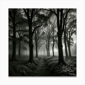 Dark Forest Canvas Print