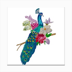 Peacock Canvas Print