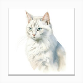 Burmilla Longhair Cat Portrait 3 Canvas Print