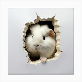 Guinea Pig 28 Canvas Print