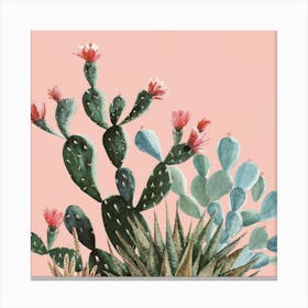 Cactus Canvas Print Canvas Print