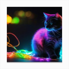 Cute Kitten With Colorful Lights Canvas Print