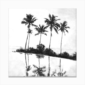 Palm Tree Reflections Black Square Canvas Print