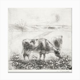 La Vache (The Cow) (1885), Camille Pissarro Canvas Print