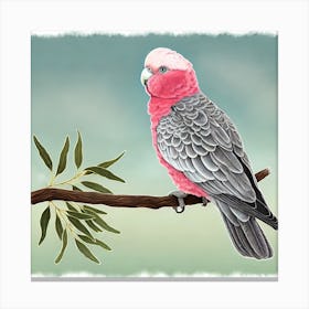 Cockatoo 1 Canvas Print