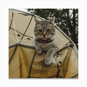 A Medium Shot Of A Cat With A Parachute Rsz1ni Kqbcaljwewva42w Kv M Fb0t62vnhrguxidxq Canvas Print