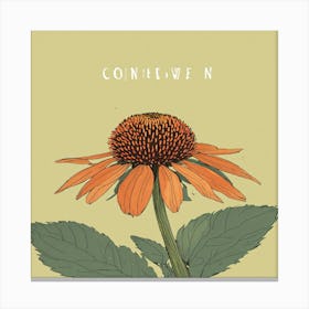 Coneflower N Canvas Print