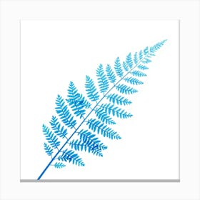 Fern Leaf 1 Canvas Print