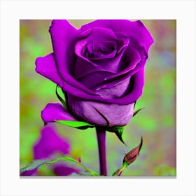 Purple Rose Canvas Print