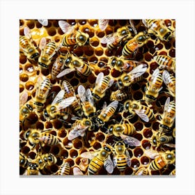 Bees Insects Pollinators Honey Hive Queen Worker Drone Nectar Pollen Colony Honeycomb St (10) Canvas Print