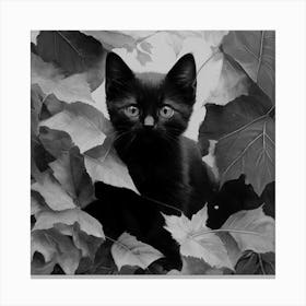 Black and White Black Cat In Leaves Canvas Print