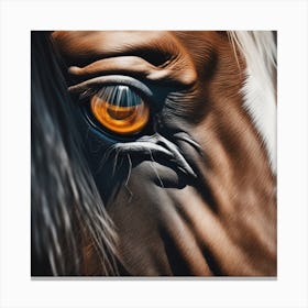 Eye Of A Horse 35 Canvas Print