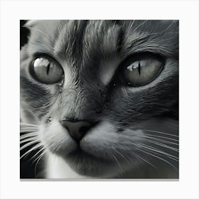 Cat Portrait 4 Canvas Print