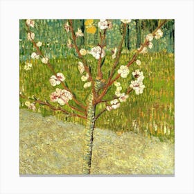 Van Gogh 25 Canvas Print