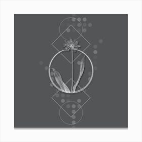 Vintage Golden Garlic Botanical with Line Motif and Dot Pattern in Ghost Gray n.0224 Canvas Print